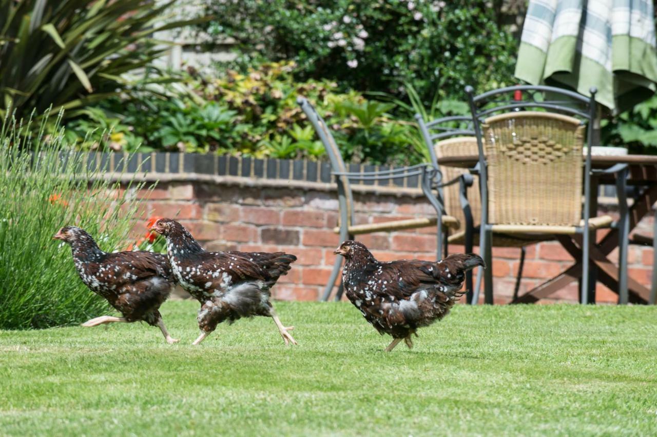 Moreton Hall Farm Newport (Shropshire) Ngoại thất bức ảnh